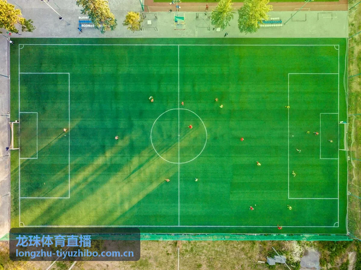 龙珠体育直播赛事数据专题：主场优势量化分析